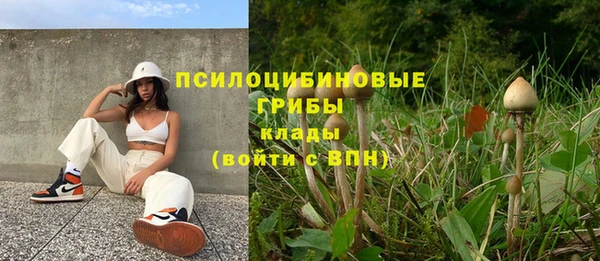 мдпв Богданович