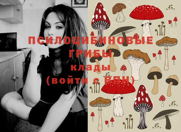 не бодяженный Богородицк