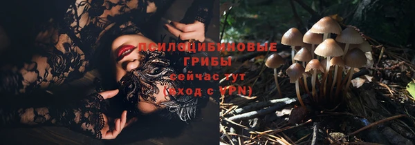 не бодяженный Богородицк
