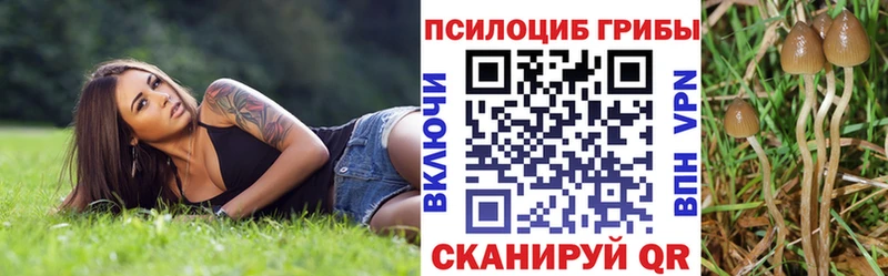 Галлюциногенные грибы прущие грибы  mega ссылка  Михайлов 